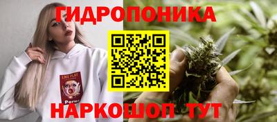 трава Анжеро-Судженск